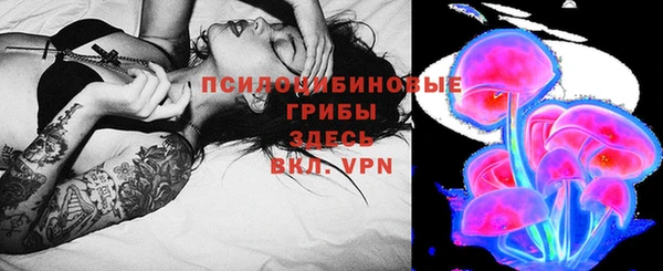 шишки Россошь