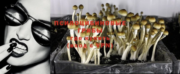 трава Абаза