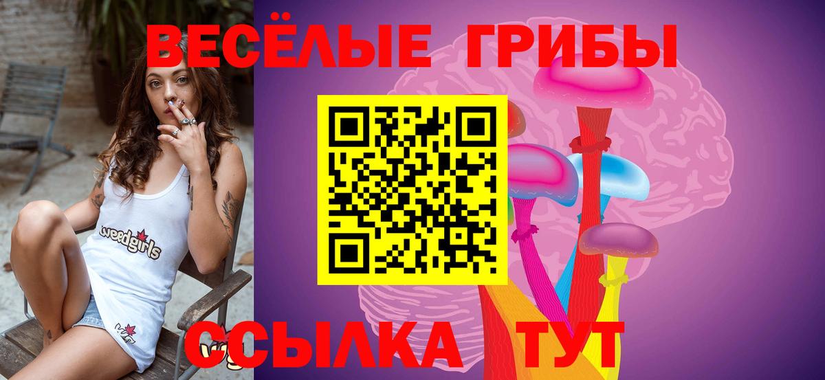 Камень-на-Оби  Галлюциногенные грибы мухоморы  Вход с VPN 