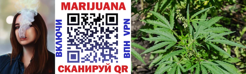 Каннабис конопля  Камень-на-Оби 